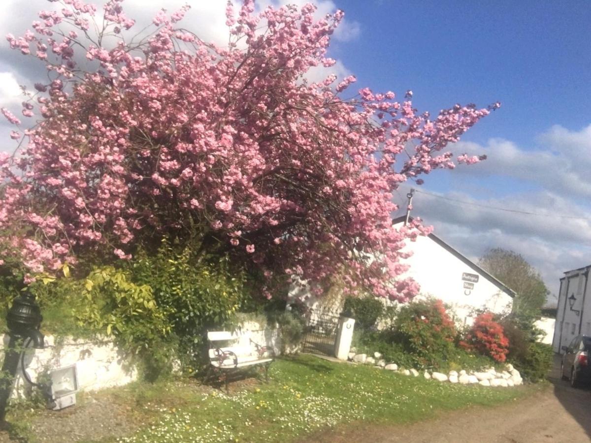 Kingsmills Cottages أرتريا المظهر الخارجي الصورة