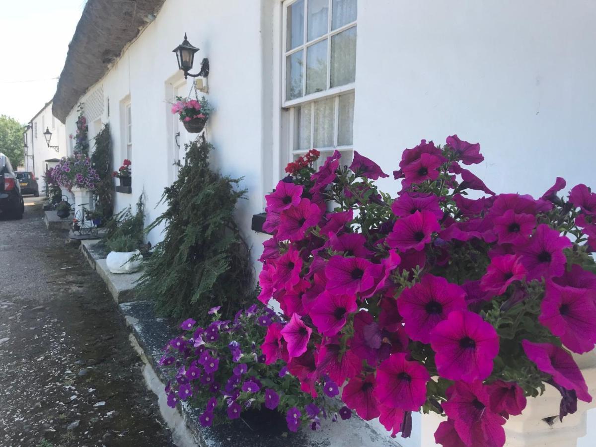 Kingsmills Cottages أرتريا المظهر الخارجي الصورة
